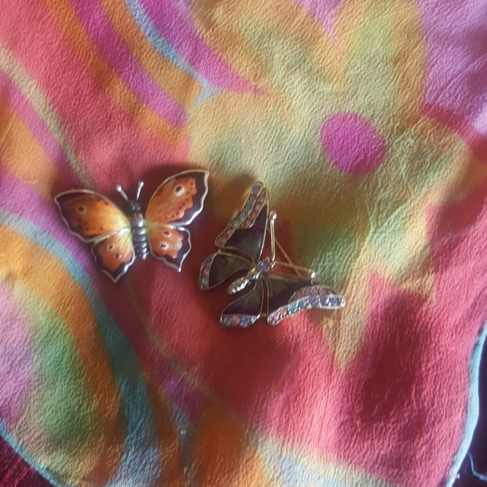 Set of 2 butterfly pins
